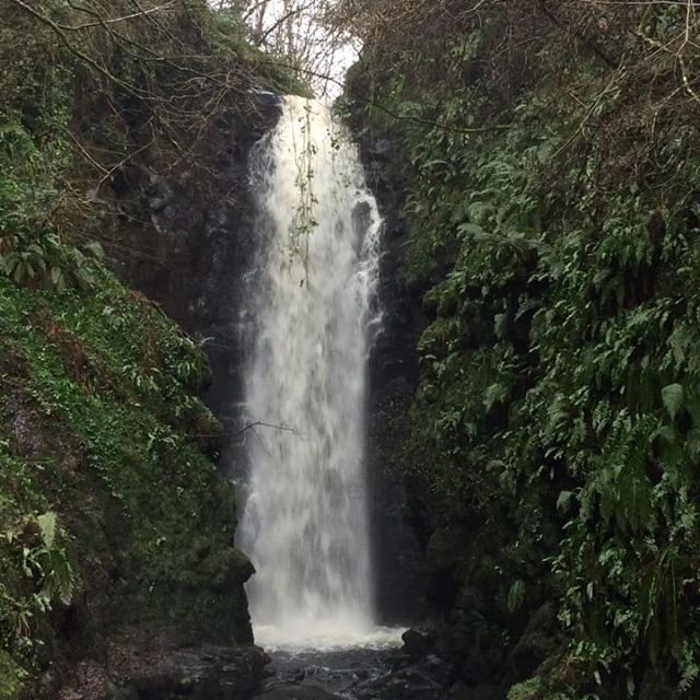 Enjoy the sound of water pouring down the #waterfall #ireland