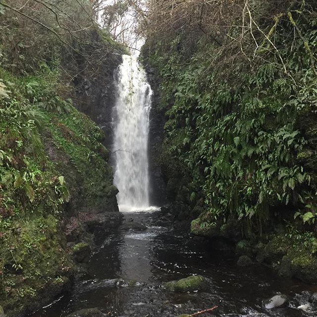 Hidden gem, nature at its best #waterfall #ireland